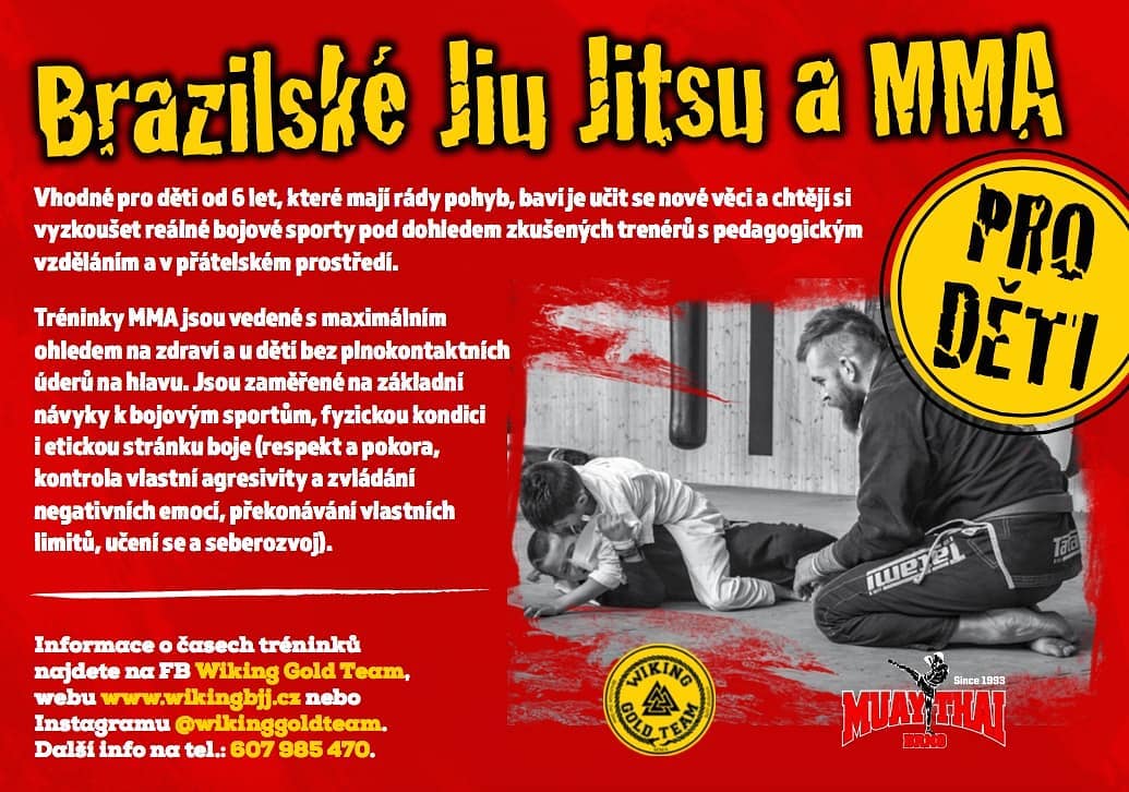 bjj a mma pro deti.jpg