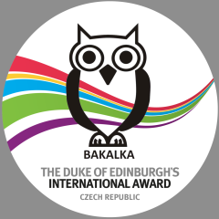obrázek